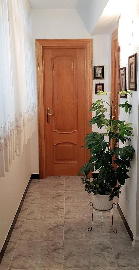 Apartamento Armonia:Centrico, Tranquilo Y Acogedor Elda Exterior foto